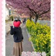 りな ありがとう 横浜人妻セレブリティ（ユメオト）