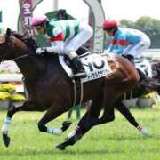 ヒメ日記 2024/12/15 14:38 投稿 りな 新横浜人妻セレブリティ（ユメオト）