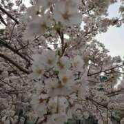 ヒメ日記 2026/03/25 18:09 投稿 りな 新横浜人妻セレブリティ（ユメオト）