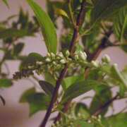 ヒメ日記 2025/05/05 22:41 投稿 かのか 東京人妻セレブリティ（ユメオト）