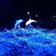 ヒメ日記 2024/12/19 08:58 投稿 稲森美穂 五十路マダム富山店(カサブランカグループ)