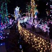 ヒメ日記 2025/11/06 10:16 投稿 そら 丸妻 町田店