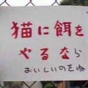 ヒメ日記 2024/08/20 11:16 投稿 ふうか 女教師と女子学生