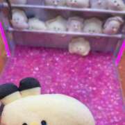 ヒメ日記 2025/03/19 00:35 投稿 もか ダイスキ