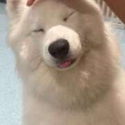 ヒメ日記 2025/10/03 14:22 投稿 もか ダイスキ