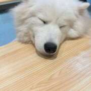 もか 出勤しました✨ ダイスキ