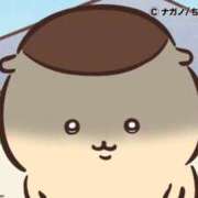 ヒメ日記 2026/03/03 11:32 投稿 もか ダイスキ