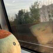 ヒメ日記 2026/04/11 09:22 投稿 もか ダイスキ