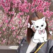 ヒメ日記 2026/04/08 21:03 投稿 エミ ドMなバニーちゃん大宮店