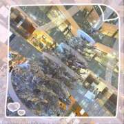 ヒメ日記 2024/12/23 17:08 投稿 れい パイレーツ