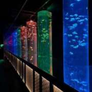 れい 退勤しました☁️ パイレーツ