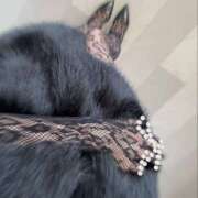 ヒメ日記 2025/02/01 14:20 投稿 こう 奥鉄オクテツ大阪