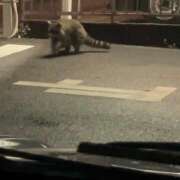 ヒメ日記 2025/04/16 19:20 投稿 ひぐち 町田人妻城