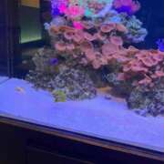 ヒメ日記 2025/05/21 18:50 投稿 ひぐち 町田人妻城