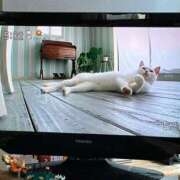 ヒメ日記 2025/06/07 11:00 投稿 ひぐち 町田人妻城