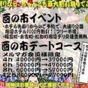 ヒメ日記 2023/11/14 23:44 投稿 こはく ぽっちゃり巨乳素人専門横浜関内伊勢佐木町ちゃんこ