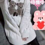 ヒメ日記 2024/12/29 16:13 投稿 こはく ぽっちゃり巨乳素人専門横浜関内伊勢佐木町ちゃんこ