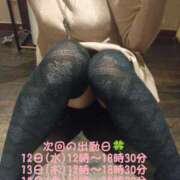 ヒメ日記 2025/01/31 20:17 投稿 こはく ぽっちゃり巨乳素人専門横浜関内伊勢佐木町ちゃんこ