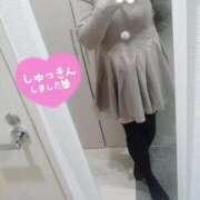 ヒメ日記 2025/02/12 11:58 投稿 こはく ぽっちゃり巨乳素人専門横浜関内伊勢佐木町ちゃんこ