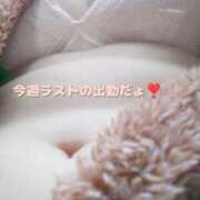 ヒメ日記 2025/04/11 09:26 投稿 こはく ぽっちゃり巨乳素人専門横浜関内伊勢佐木町ちゃんこ