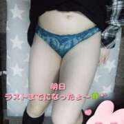 ヒメ日記 2025/04/20 12:11 投稿 こはく ぽっちゃり巨乳素人専門横浜関内伊勢佐木町ちゃんこ