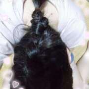 ヒメ日記 2025/07/28 15:06 投稿 こはく ぽっちゃり巨乳素人専門横浜関内伊勢佐木町ちゃんこ