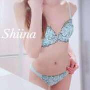 ヒメ日記 2024/12/14 09:16 投稿 しいな 贅沢なひと時