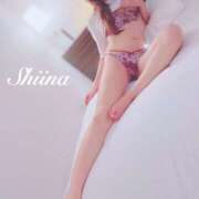 ヒメ日記 2024/12/19 21:19 投稿 しいな 贅沢なひと時