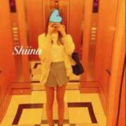 ヒメ日記 2024/12/23 12:34 投稿 しいな 贅沢なひと時