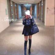 ヒメ日記 2024/12/31 18:03 投稿 しいな 贅沢なひと時