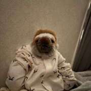 ヒメ日記 2025/07/14 20:01 投稿 安藤 きてぃ ハレ系 福岡DEまっとる。