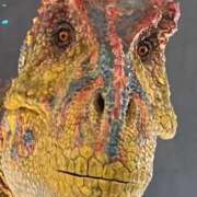 ヒメ日記 2025/07/21 09:08 投稿 安藤 きてぃ ハレ系 福岡DEまっとる。