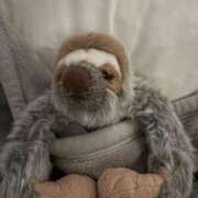 ヒメ日記 2025/08/19 10:40 投稿 安藤 きてぃ ハレ系 福岡DEまっとる。