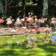 ヒメ日記 2025/10/20 11:02 投稿 安藤 きてぃ ハレ系 福岡DEまっとる。