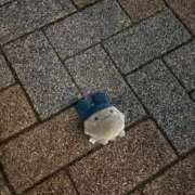 ヒメ日記 2025/12/30 05:28 投稿 安藤 きてぃ ハレ系 福岡DEまっとる。