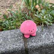 ヒメ日記 2026/01/04 15:50 投稿 安藤 きてぃ ハレ系 福岡DEまっとる。