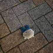 ヒメ日記 2026/01/24 06:43 投稿 安藤 きてぃ ハレ系 福岡DEまっとる。