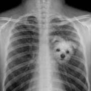 安藤 きてぃ 今週迷ったんだ ハレ系 福岡DEまっとる。＆ひよこ治療院