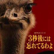 安藤 きてぃ 買い物行くと毎回これ ハレ系 福岡DEまっとる。＆ひよこ治療院