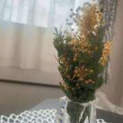 ヒメ日記 2025/03/08 08:52 投稿 いちか 奥様電車