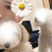 ヒメ日記 2025/04/14 00:49 投稿 いちか 奥様電車