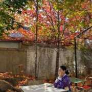 ヒメ日記 2025/11/19 04:51 投稿 いちか 奥様電車