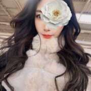 ヒメ日記 2026/04/20 08:33 投稿 いちか 奥様電車