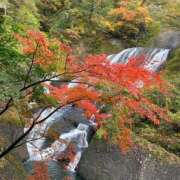 ヒメ日記 2025/11/12 15:57 投稿 乃愛 西船橋ムンムン熟女妻