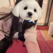 ヒメ日記 2026/01/17 09:45 投稿 みこ 妹系イメージSOAP萌えフードル学園 大宮本校