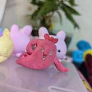 ヒメ日記 2025/01/13 14:18 投稿 水上(みずがみ) 相模原人妻城