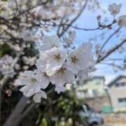 水上(みずがみ) 出た 相模原人妻城