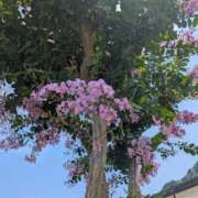 水上(みずがみ) 覚えてる？！ 相模原人妻城