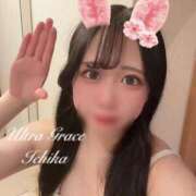 いちか しゅっきーーん🌷 ウルトラグレイス24