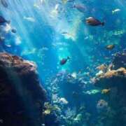 ヒメ日記 2025/01/17 09:19 投稿 みらい チェックイン素人専門大人女子